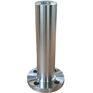 الشفاه طويلة الرقبة